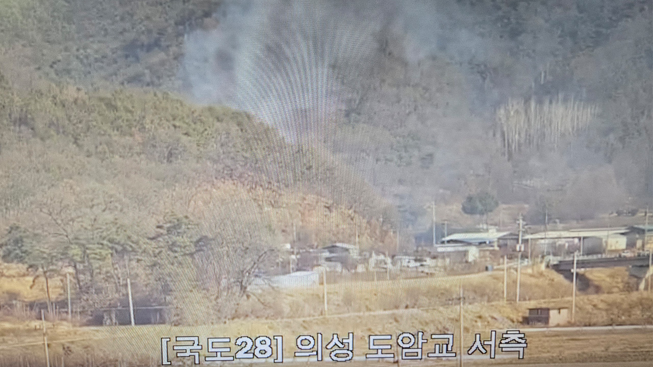 사진 제공 산림청