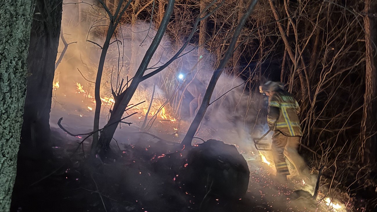 사진 제공 경북소방본부