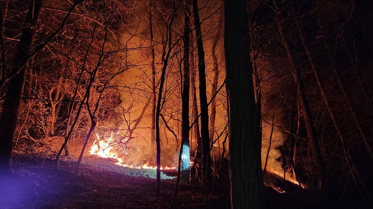 사진 제공 경북소방본부
