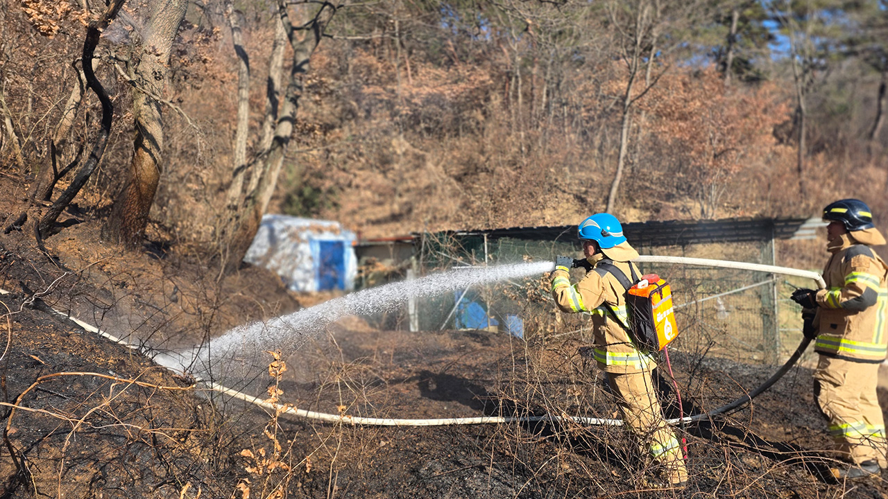 사진 제공 대구소방본부