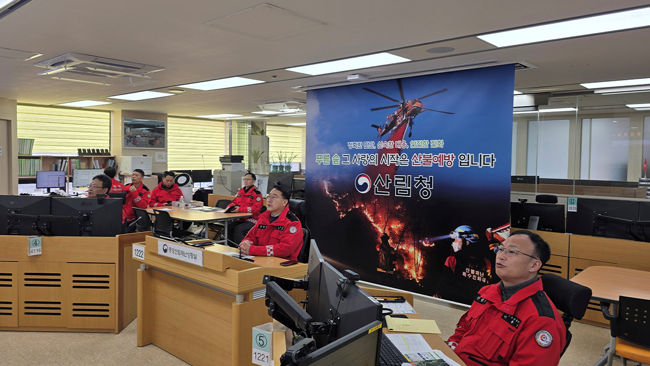 사진 제공 산림청