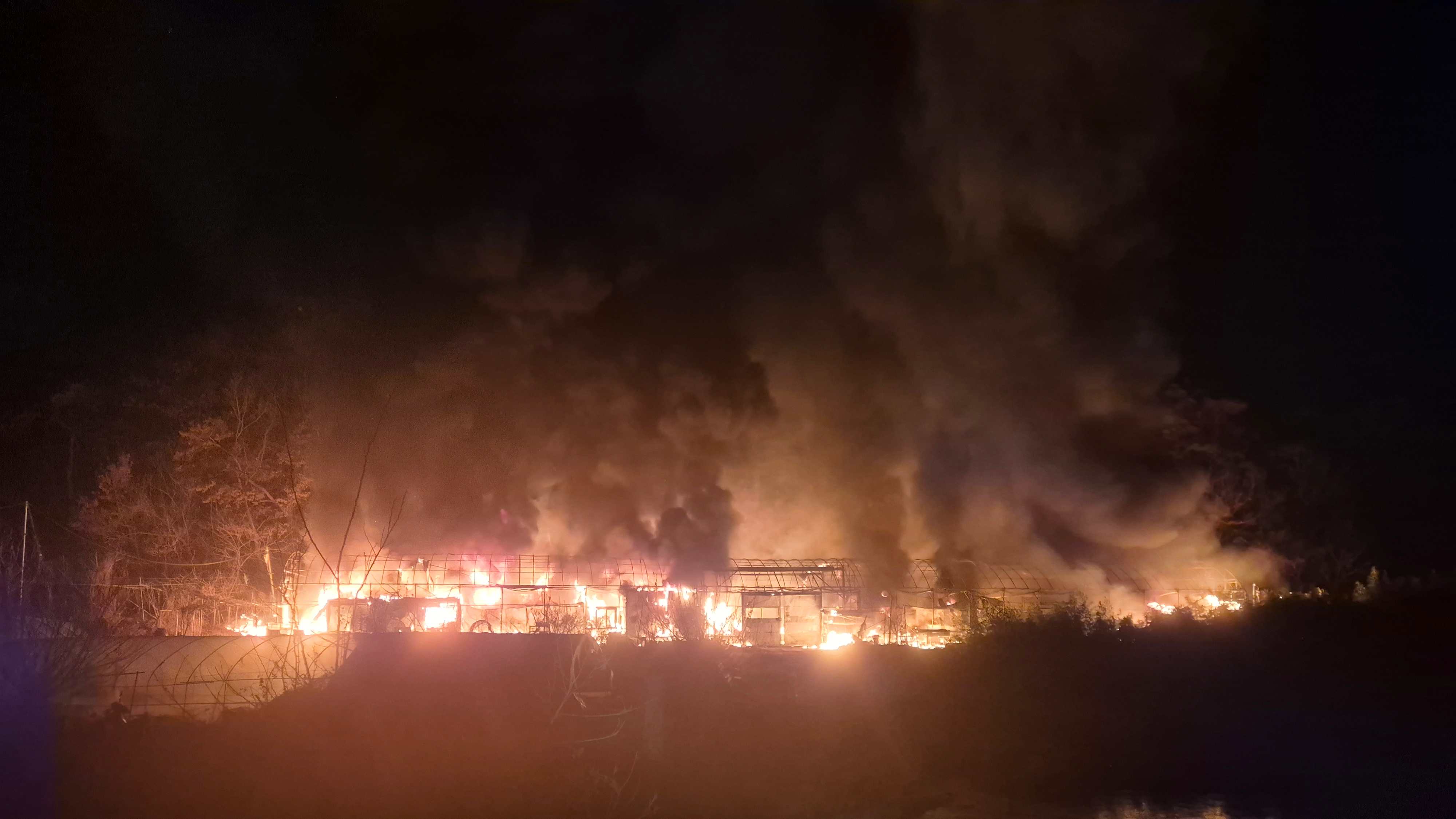 사진 제공 대구소방본부