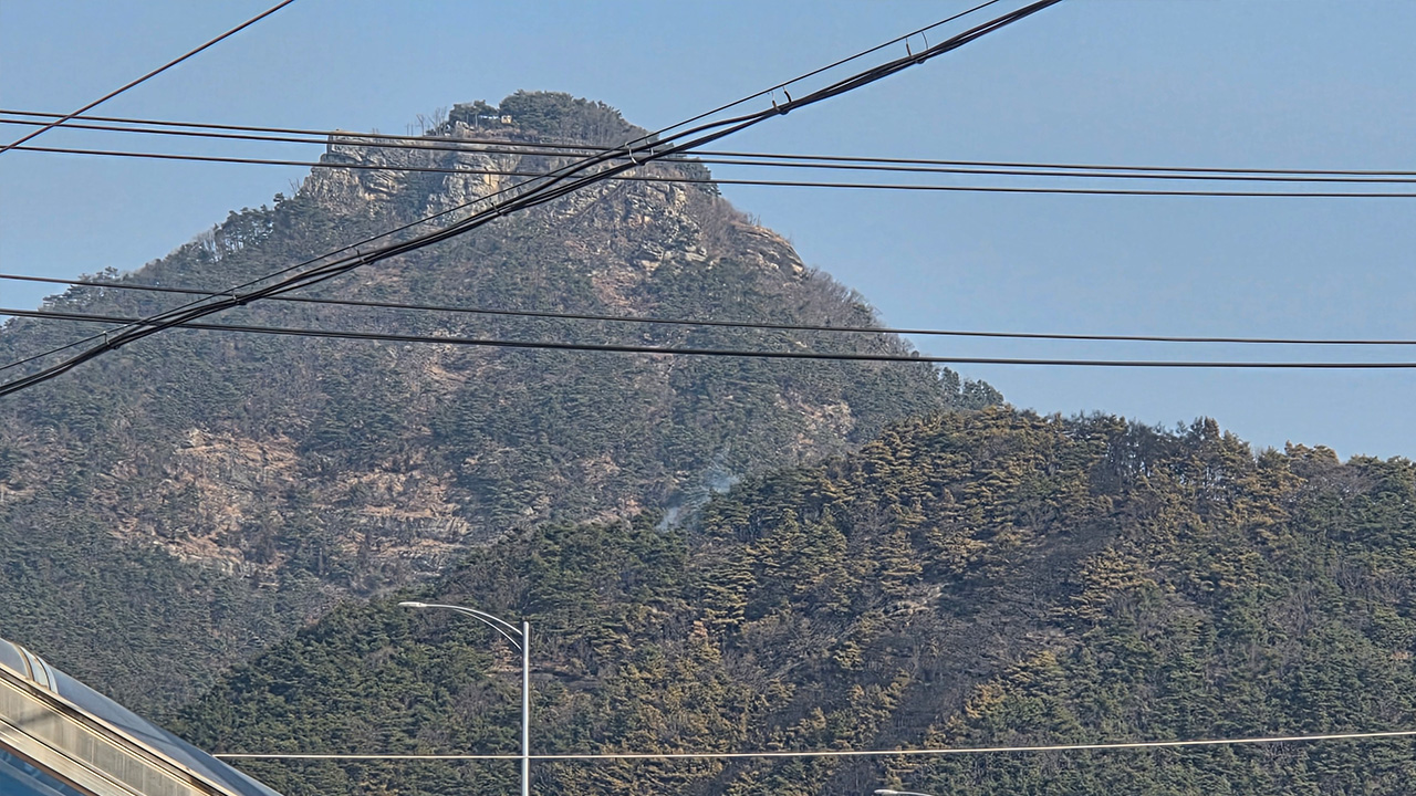 사진 제공 산림청