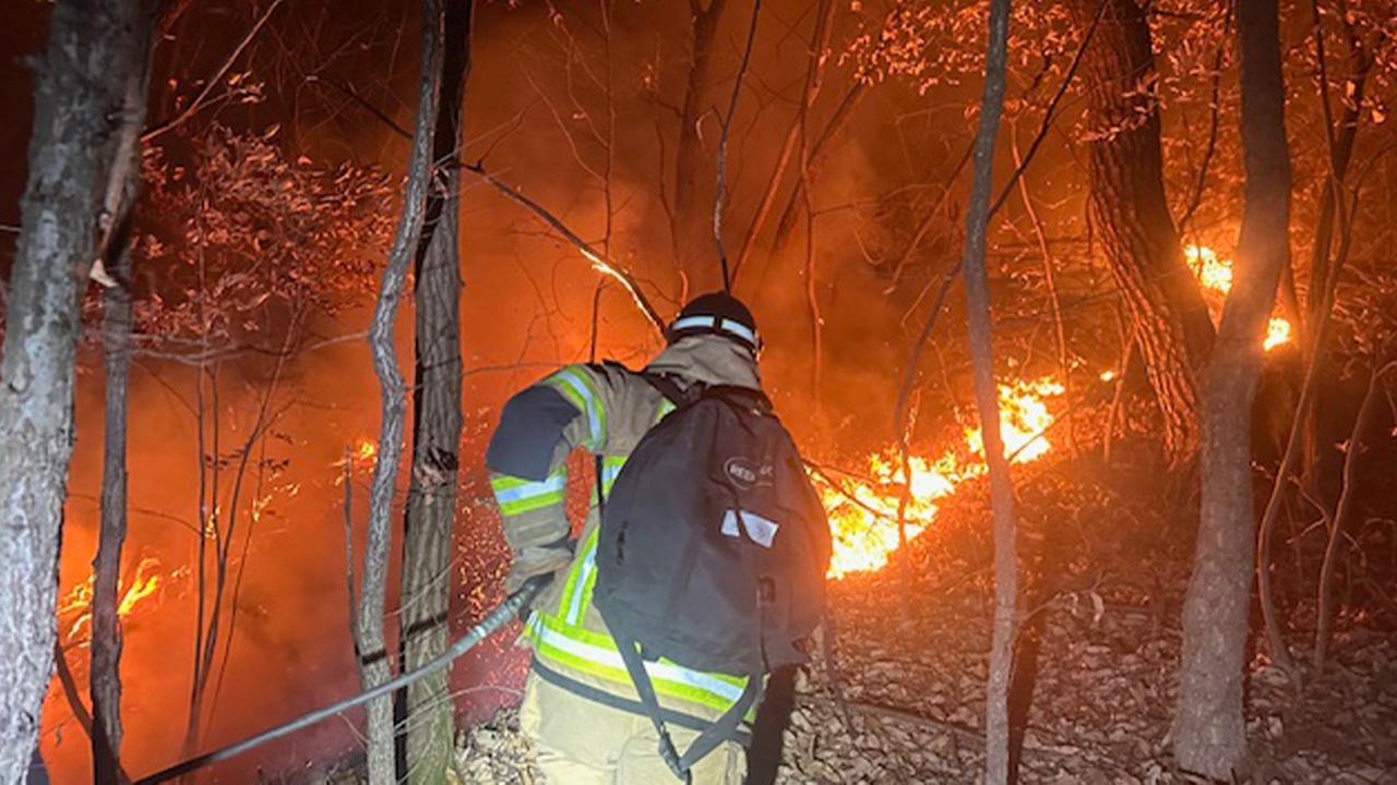 사진 제공 경북소방본부