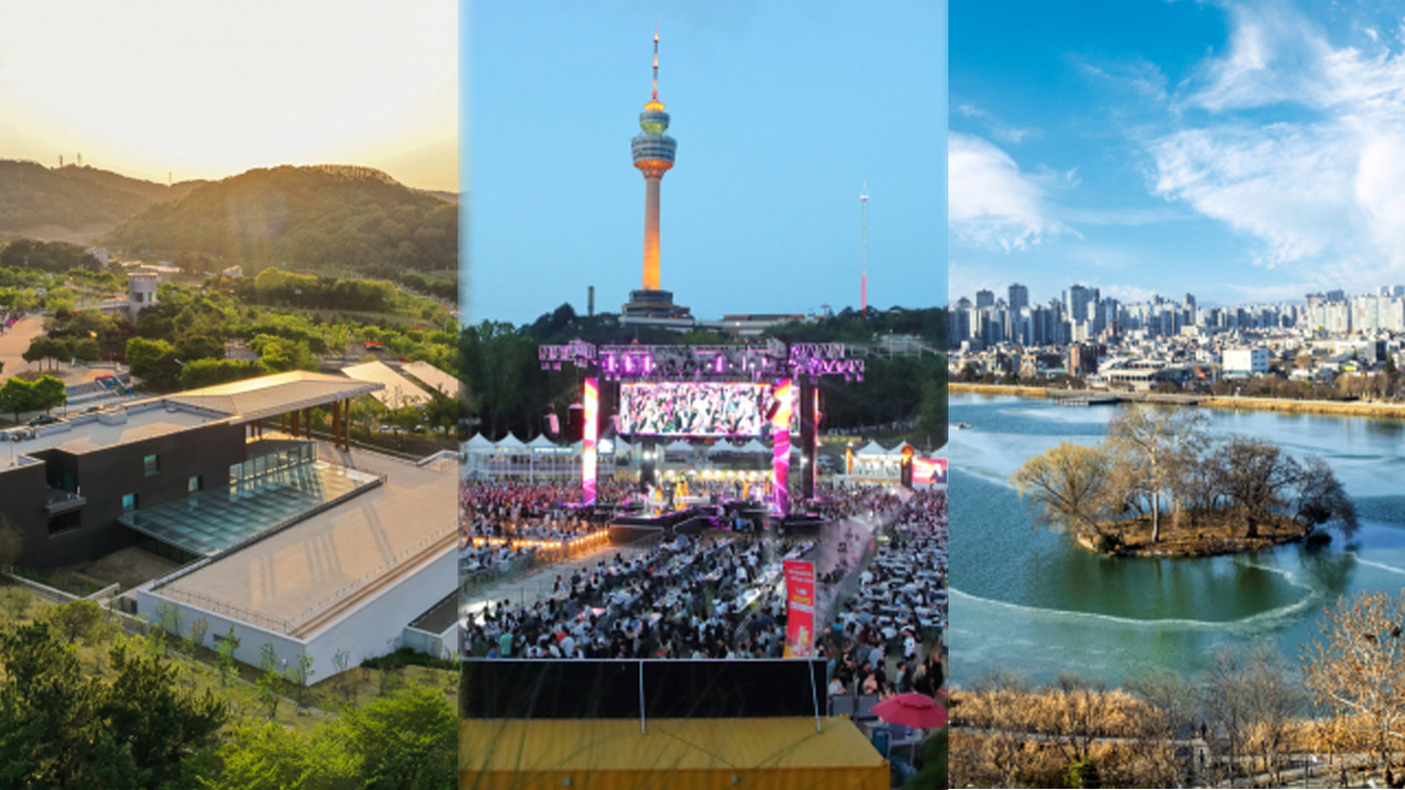 사진 제공 대구시