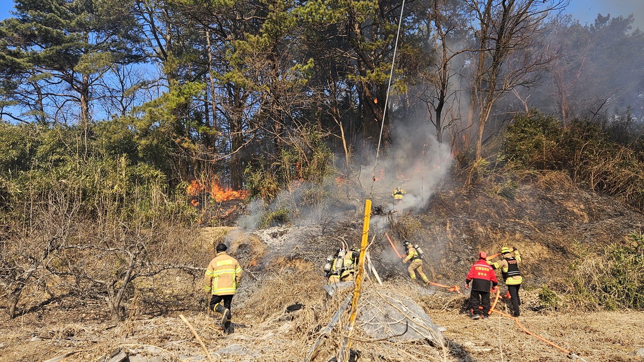 사진 제공 경북소방본부