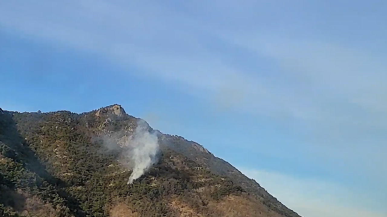 사진 제공 산림청