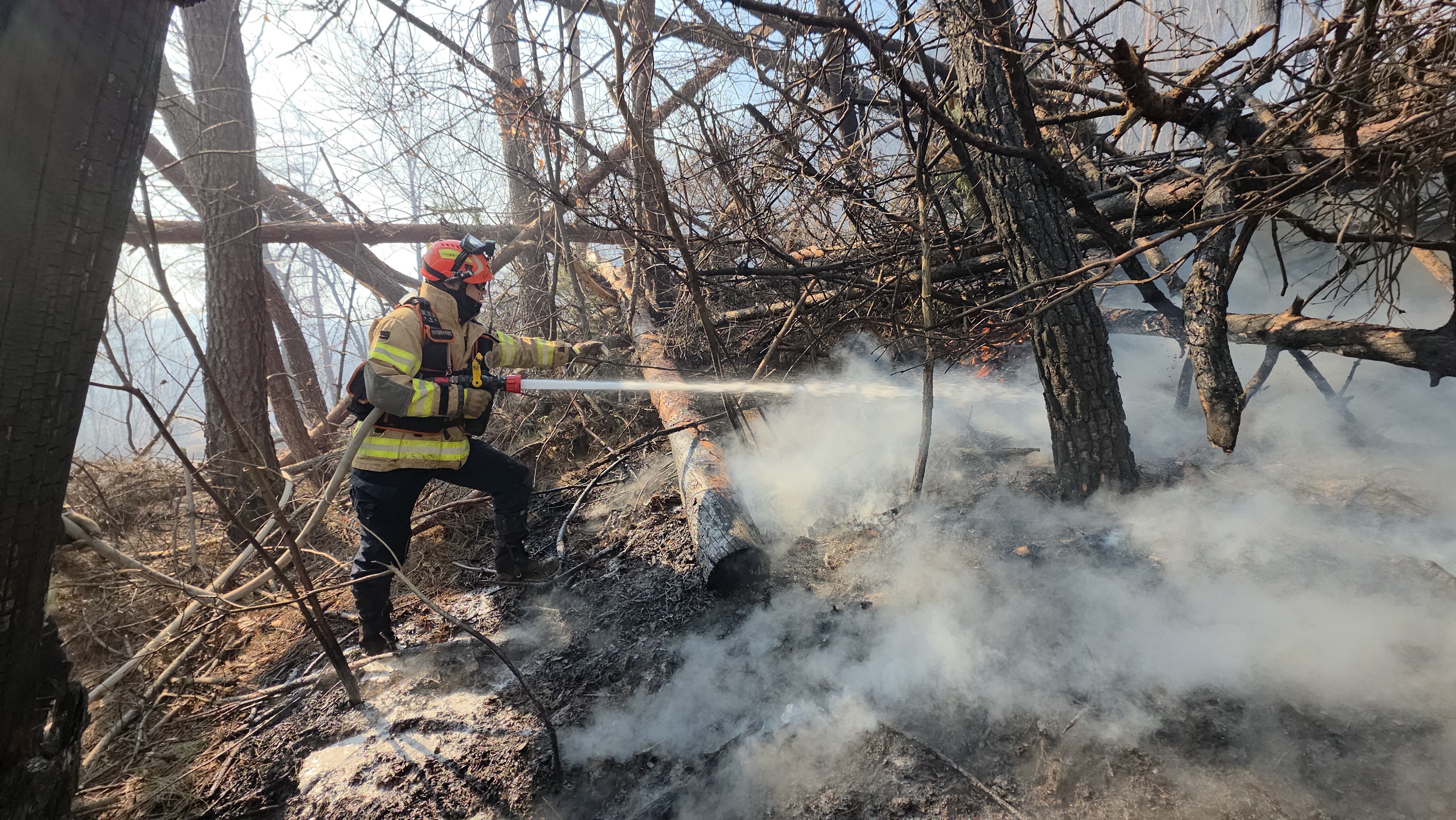 화면제공 경북소방본부