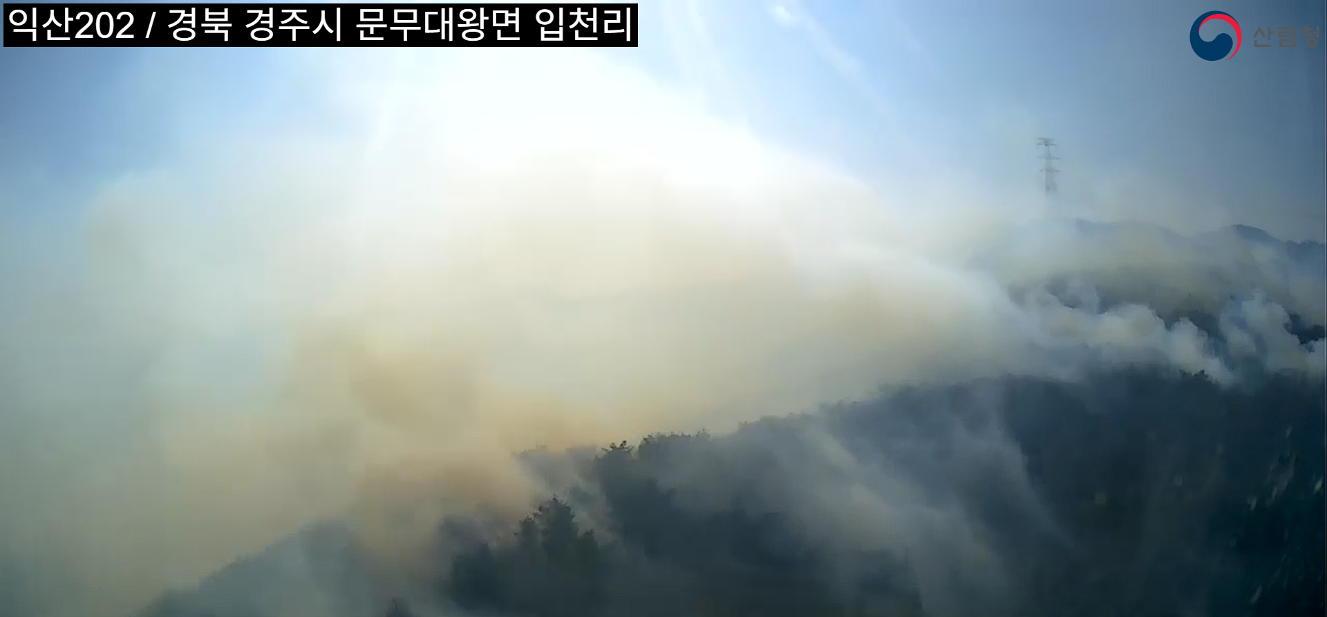 화면제공 산림청