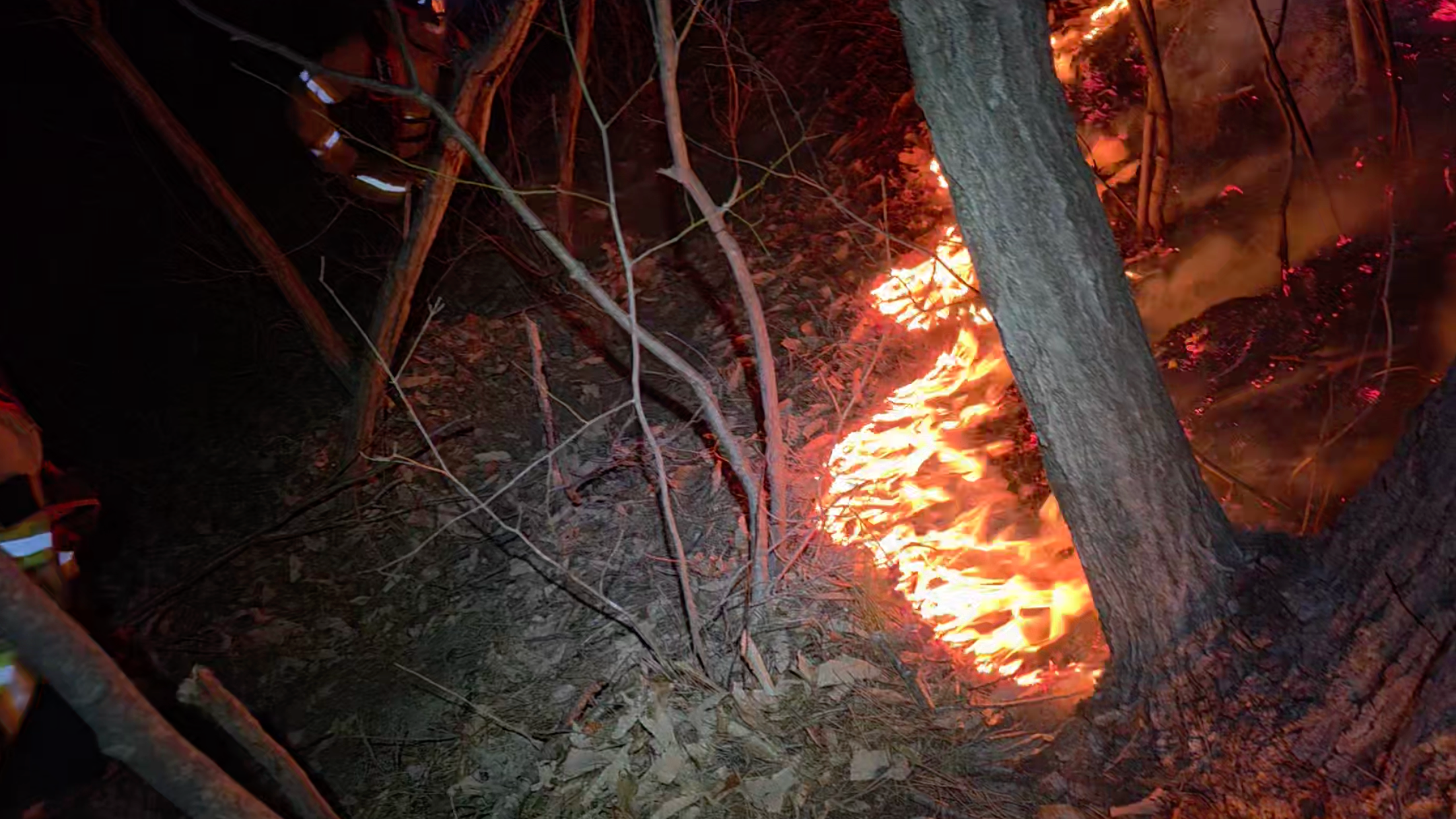 사진 제공 경북소방본부