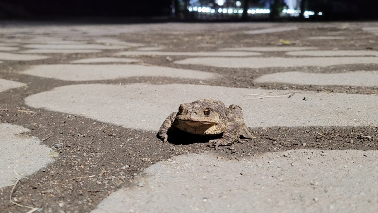 사진 제공 대구 수성구
