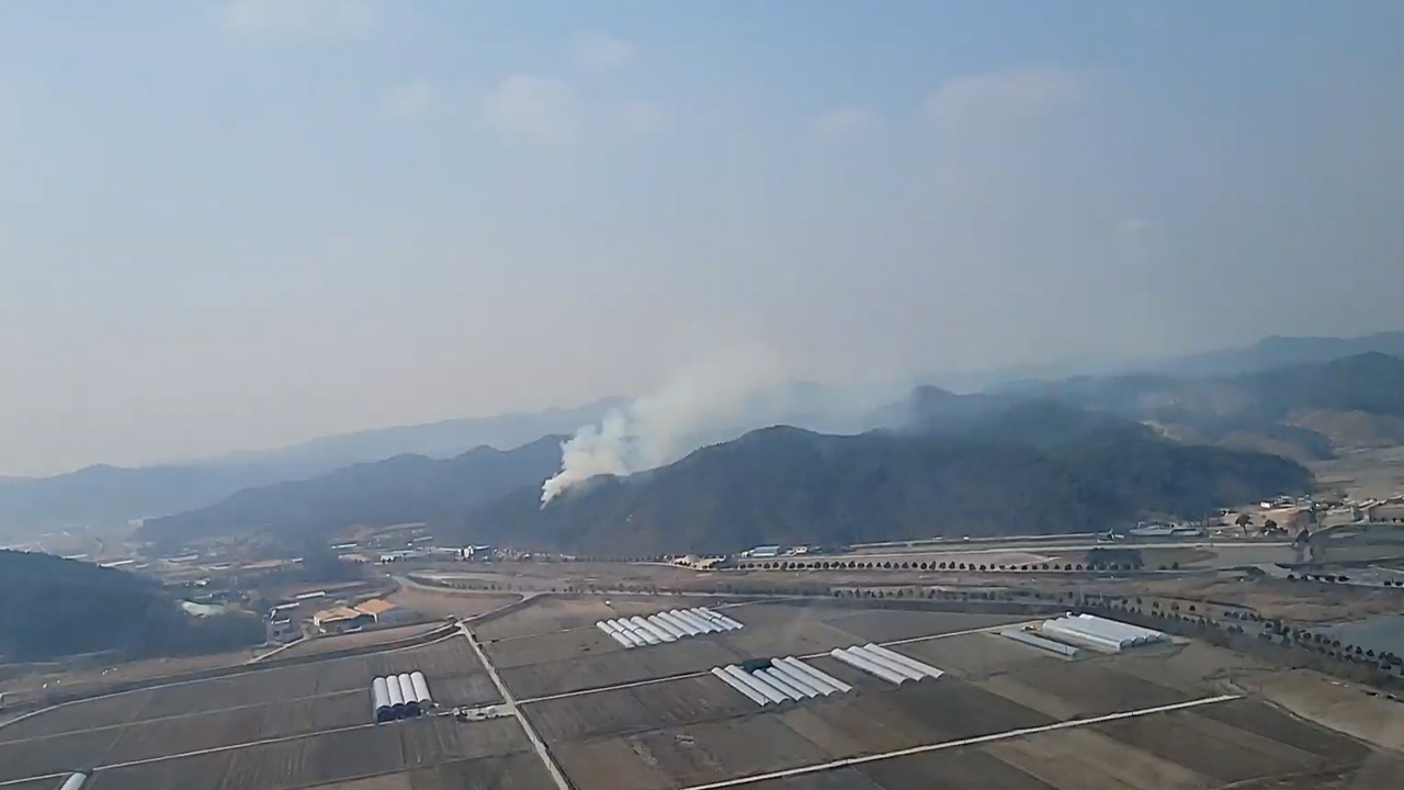 사진 제공 산림청