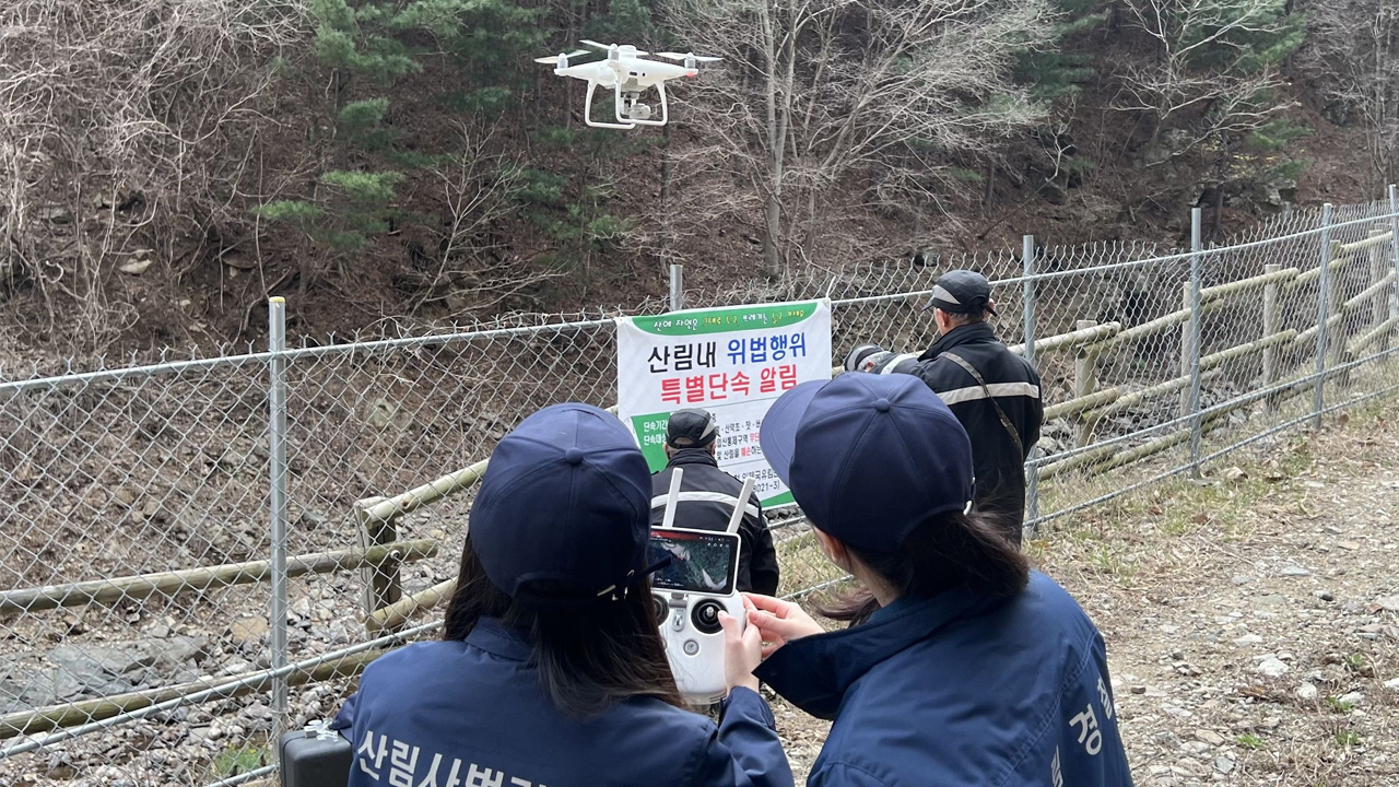 사진 제공 산림청