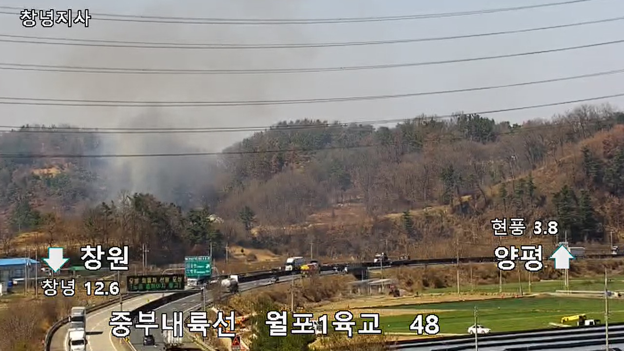 사진 제공 산림청