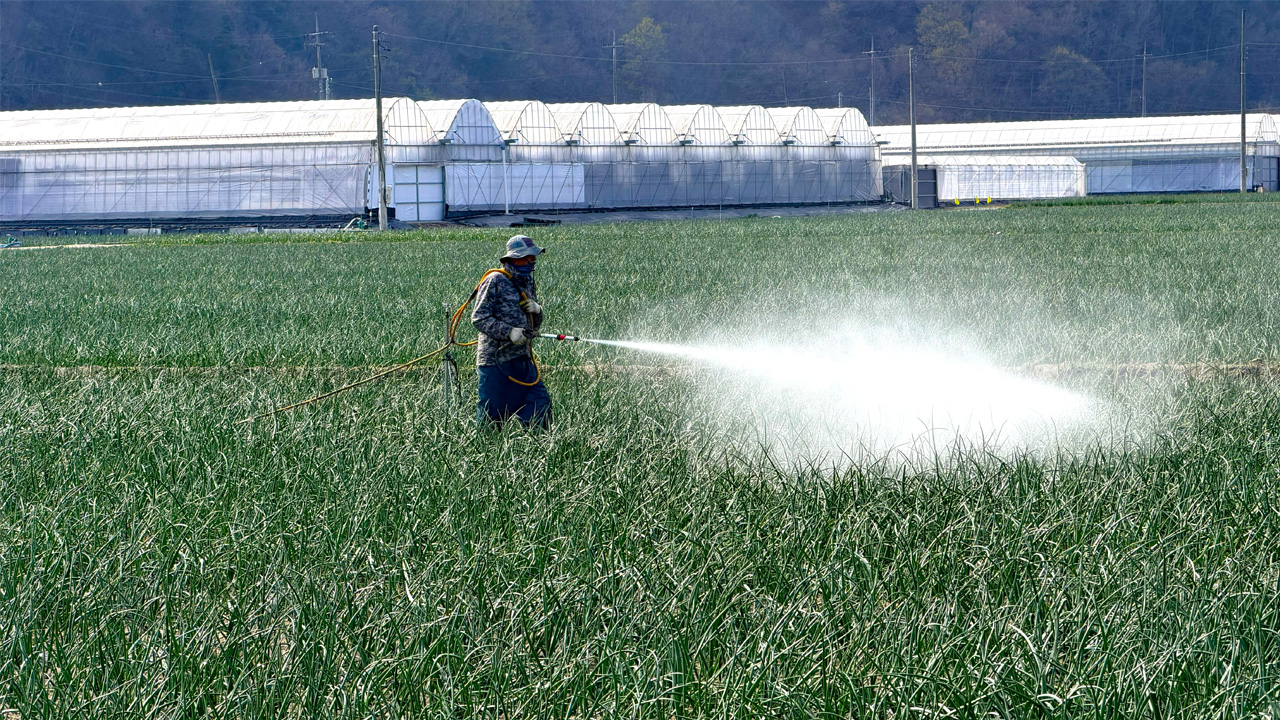 사진 제공 경북 김천시