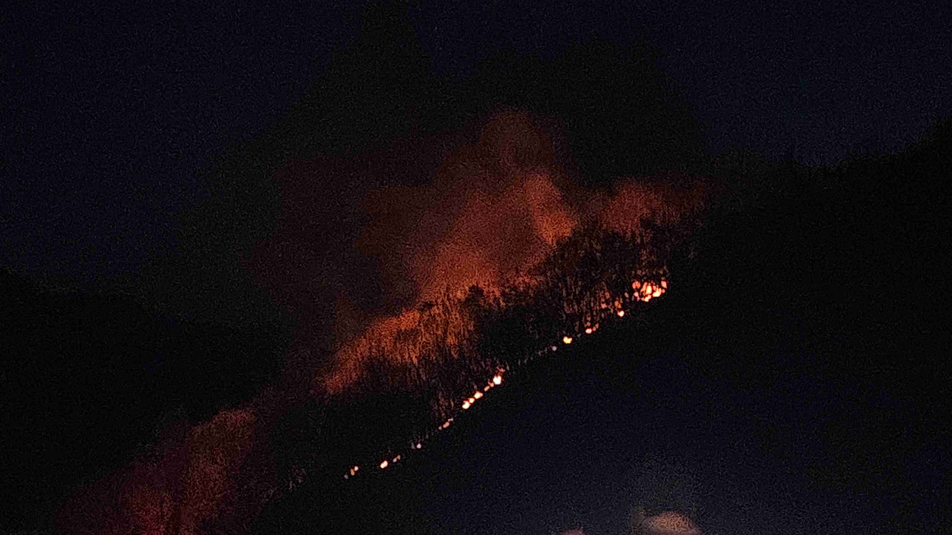 사진 제공 경북소방본부