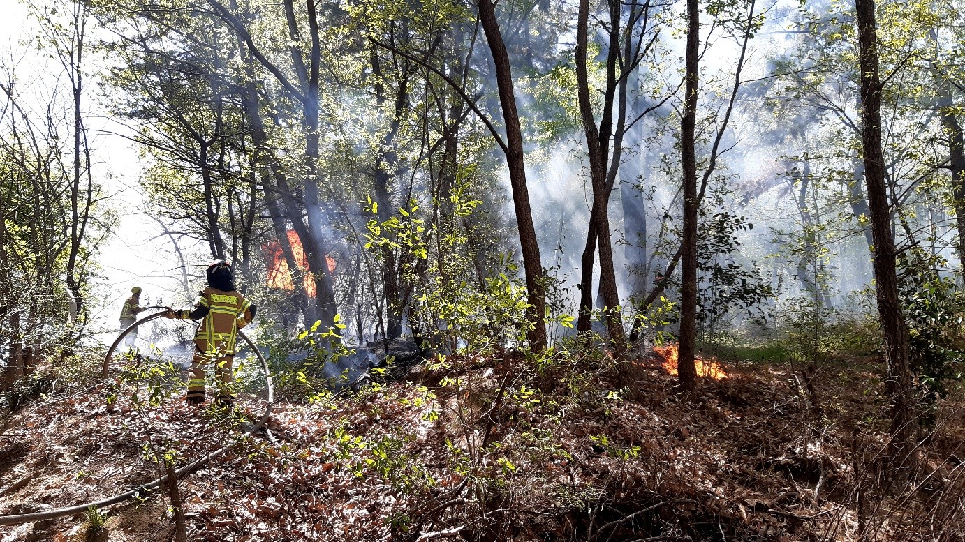 사진 제공 경북소방본부
