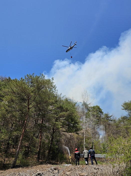 사진 제공 경북소방본부