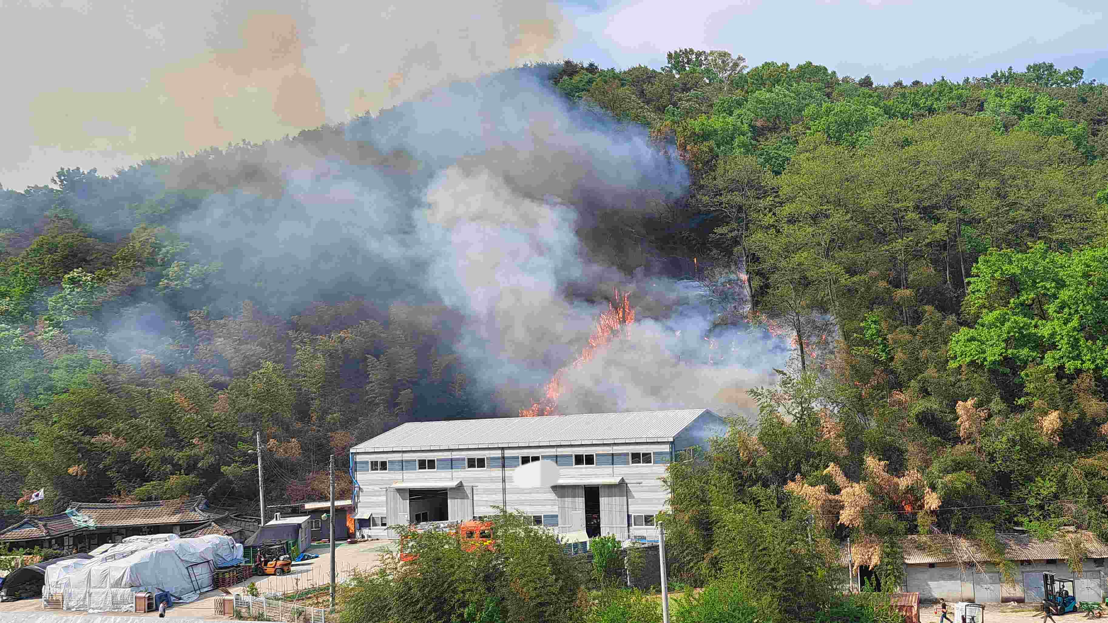 사진 제공 경북소방본부