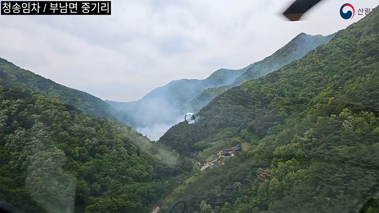 사진 제공 산림청