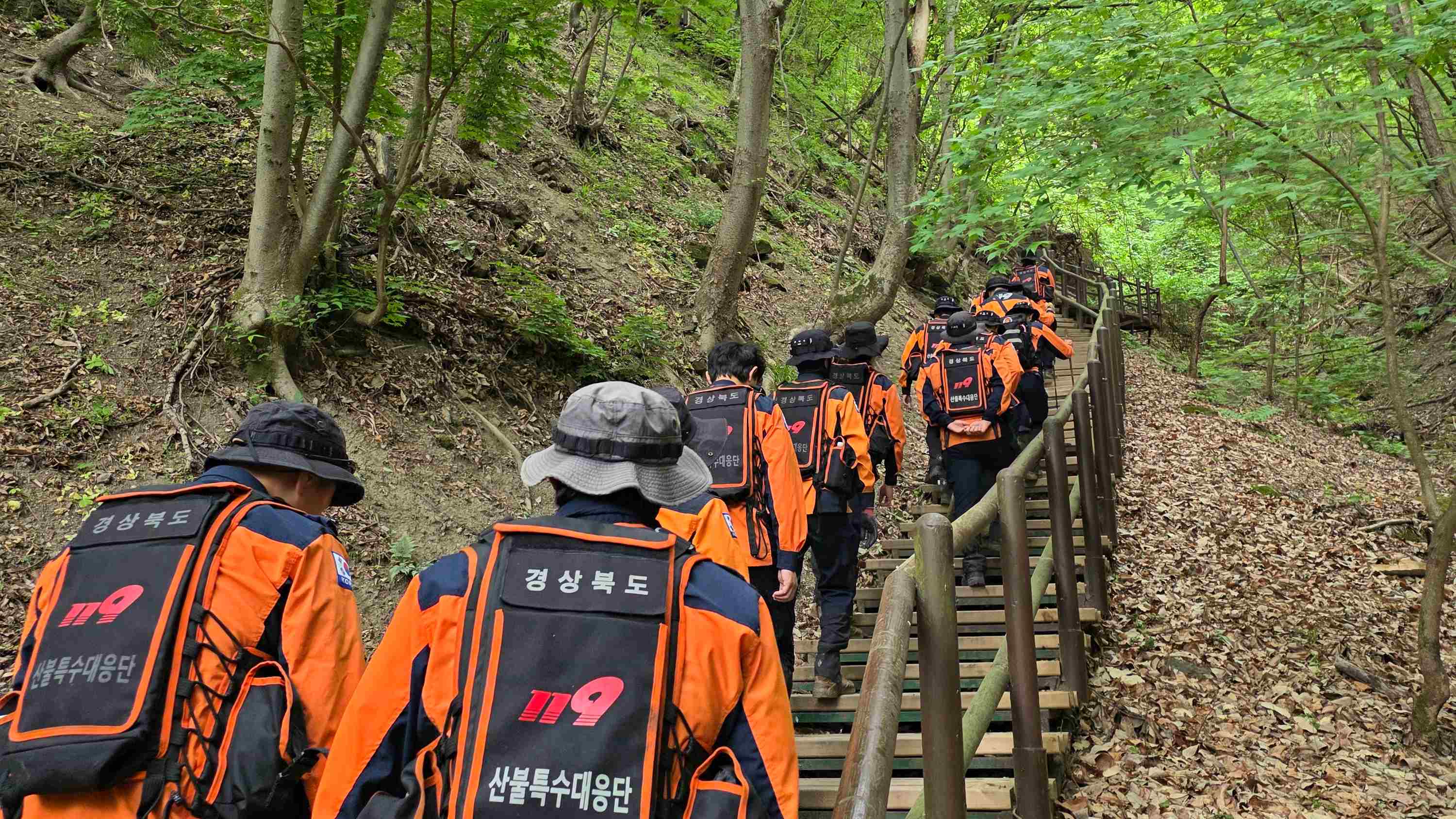 사진 제공 경북소방본부