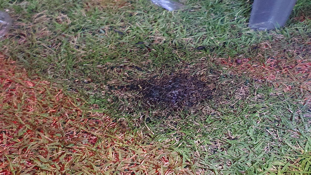 사진 제공 한국치맥산업협회