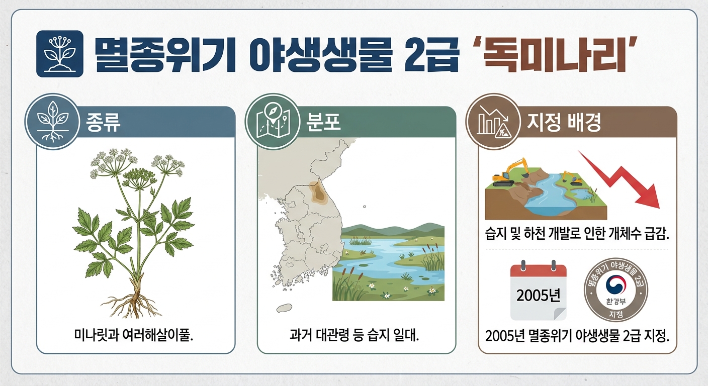 위 이미지는 생성형 AI를 활용해 제작되었습니다
