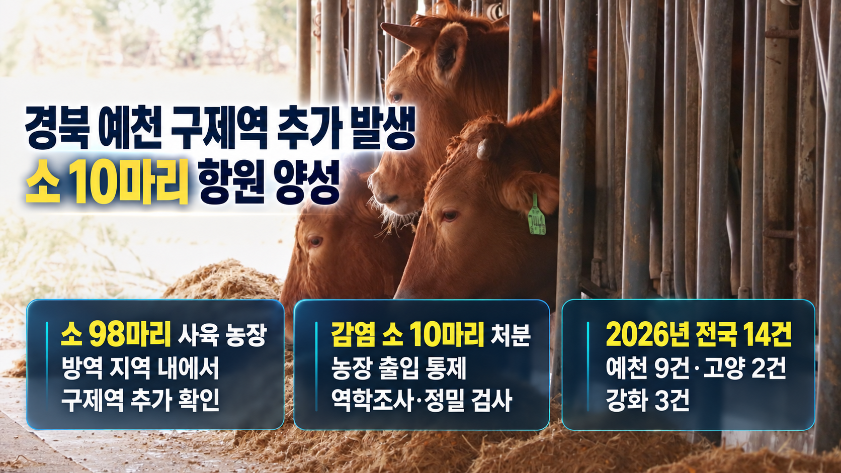 위 이미지는 생성형 AI를 활용해 제작되었습니다
