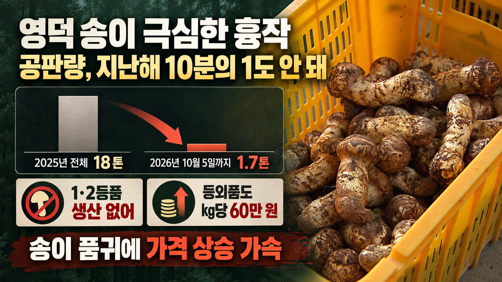 위 이미지는 생성형 AI를 활용해 제작되었습니다