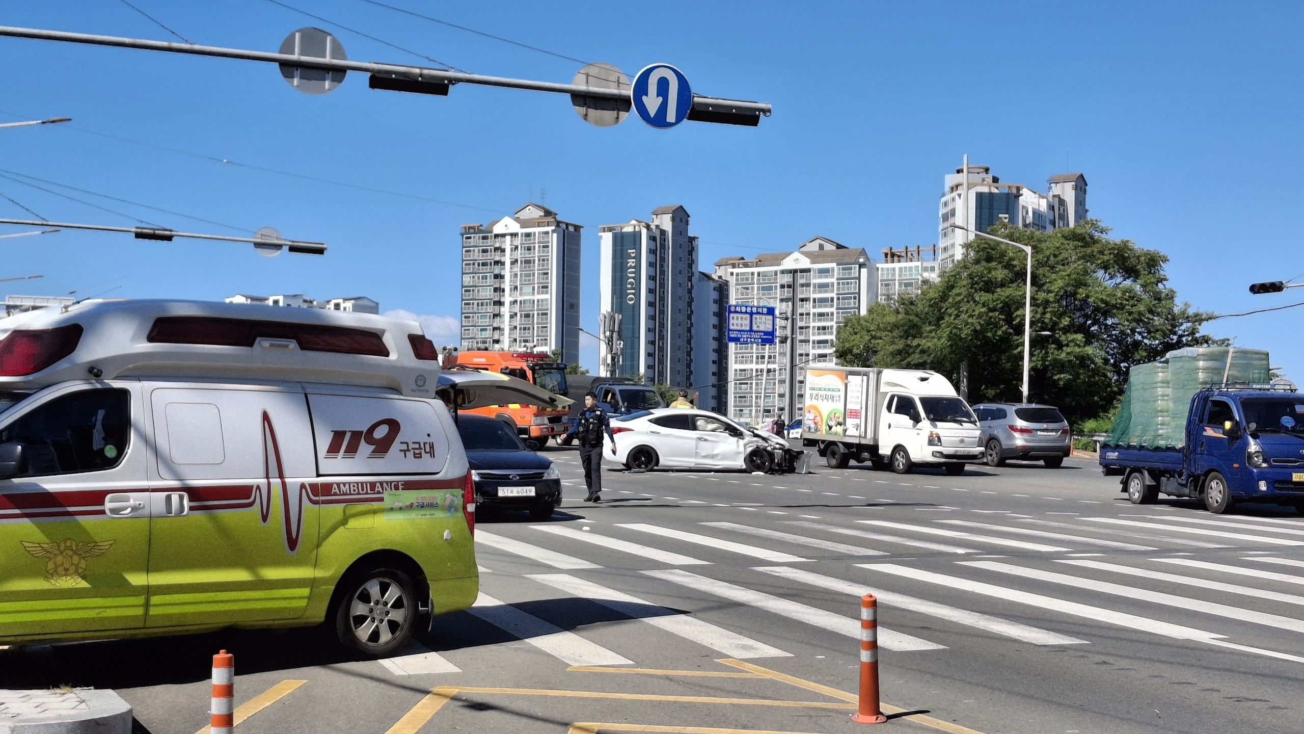 사진 제공 대구소방본부