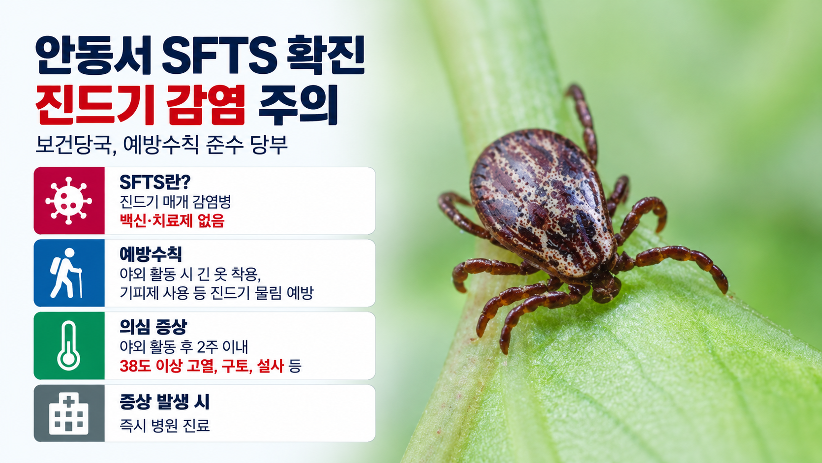 위 이미지는 생성형 AI를 활용해 제작되었습니다
