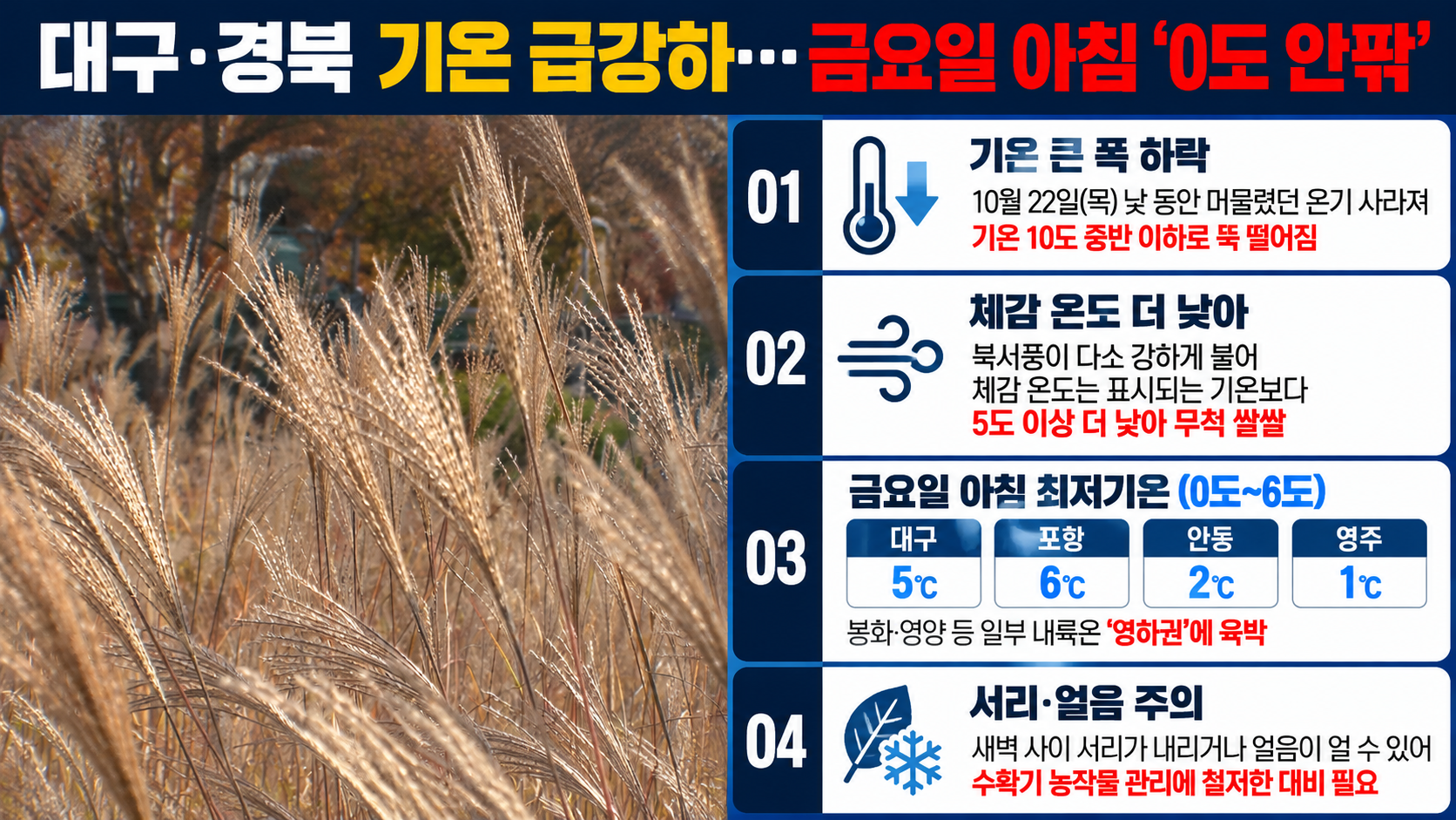 위 이미지는 생성형 AI를 활용해 제작되었습니다