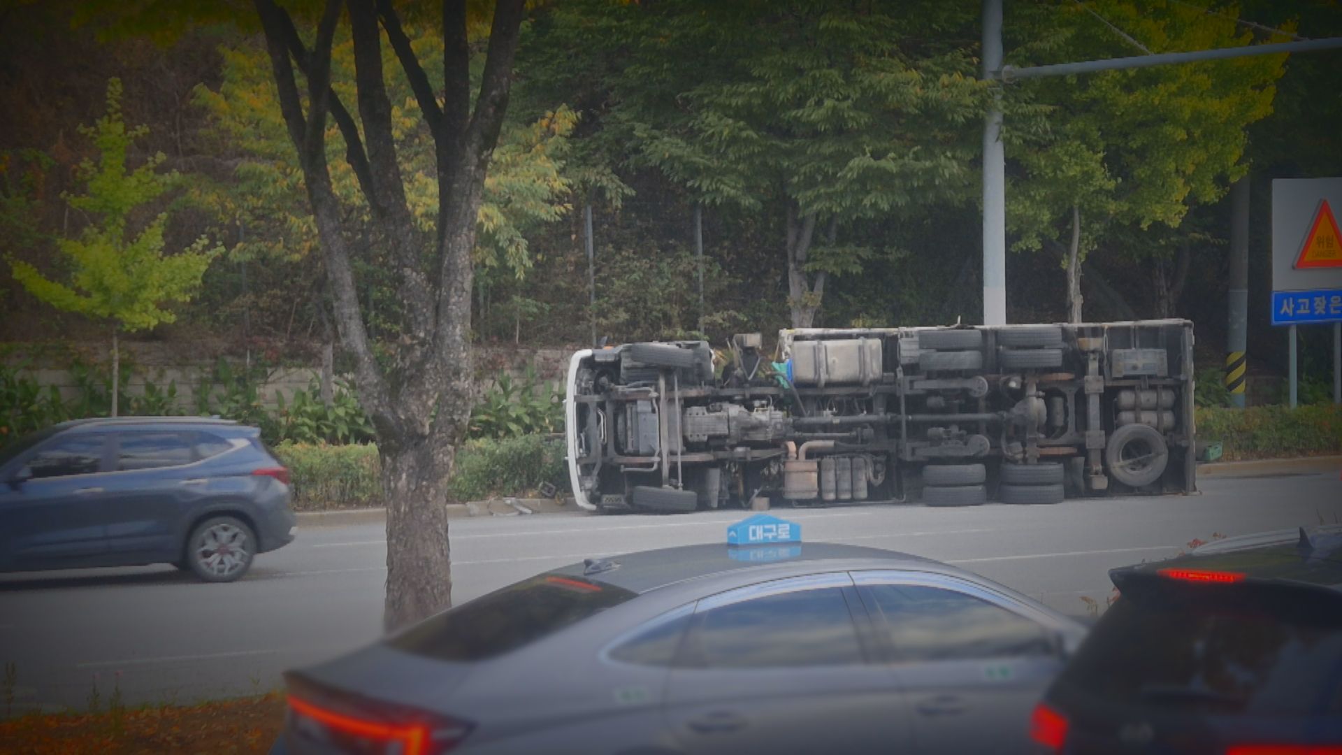제공 신지경