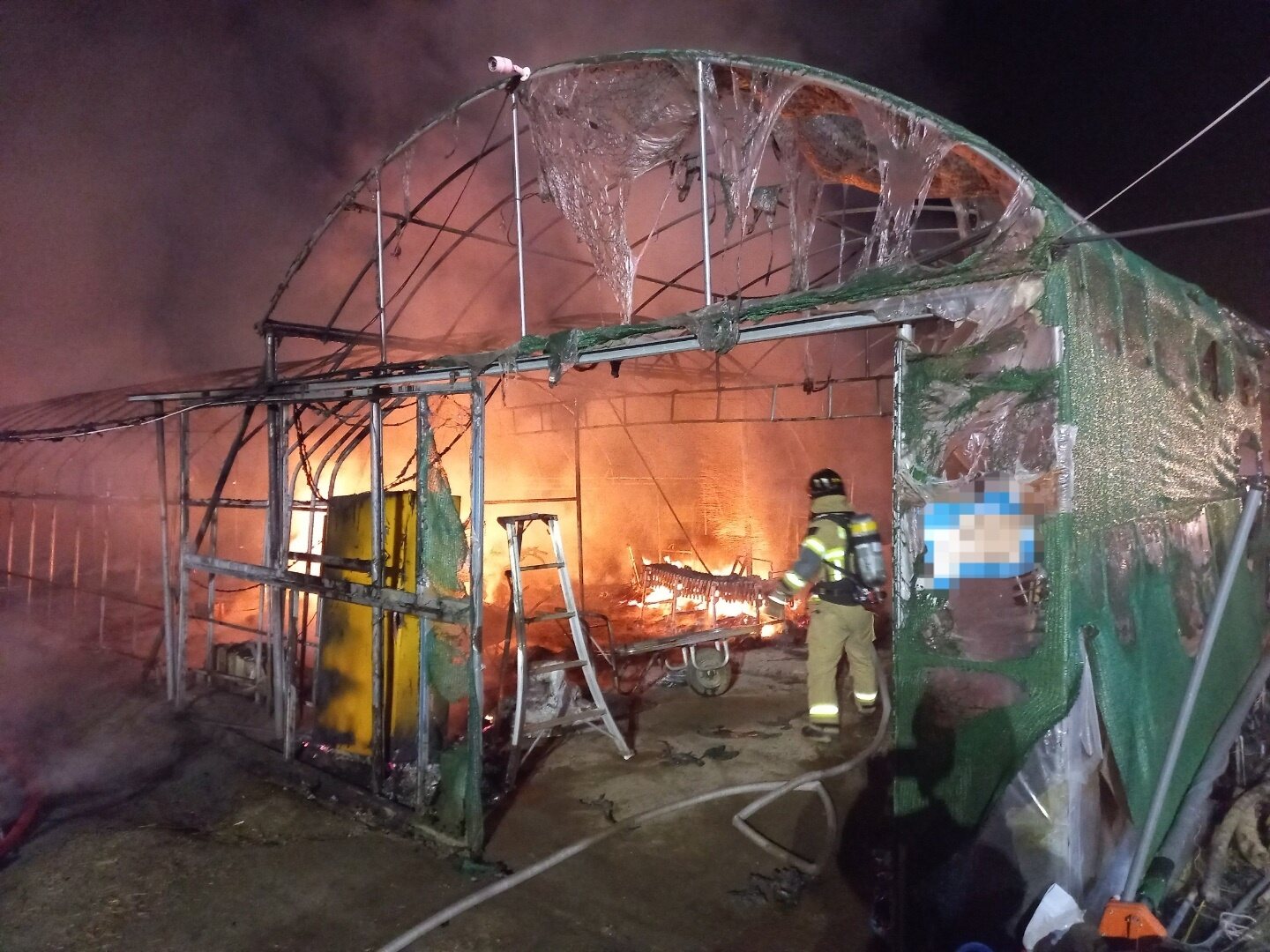 사진 제공 경북소방본부