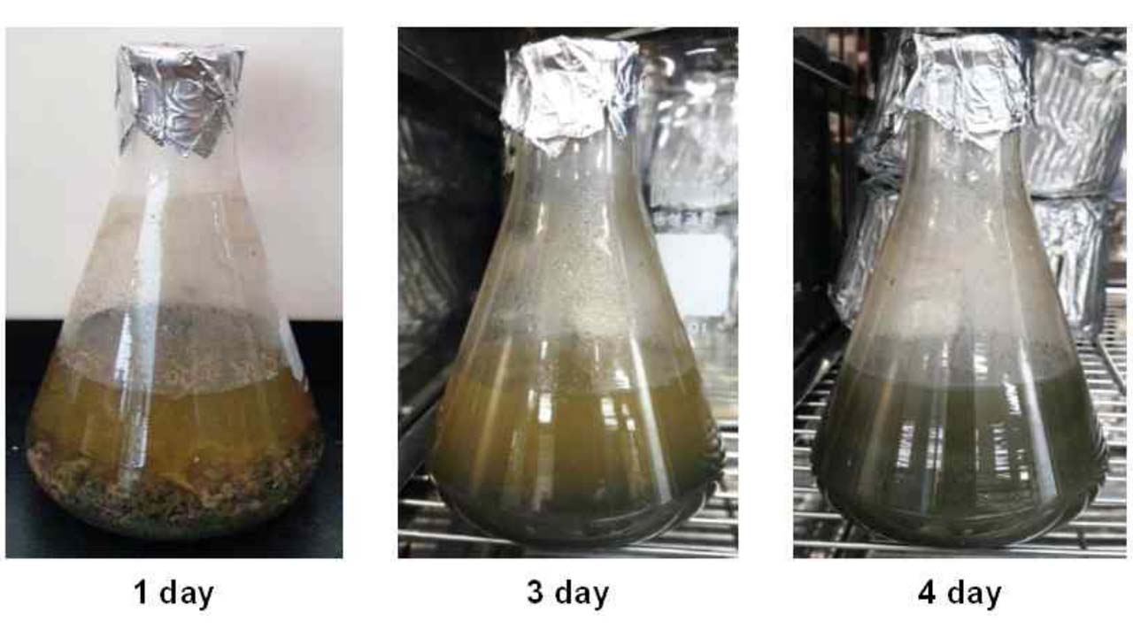 사진 제공 환경부