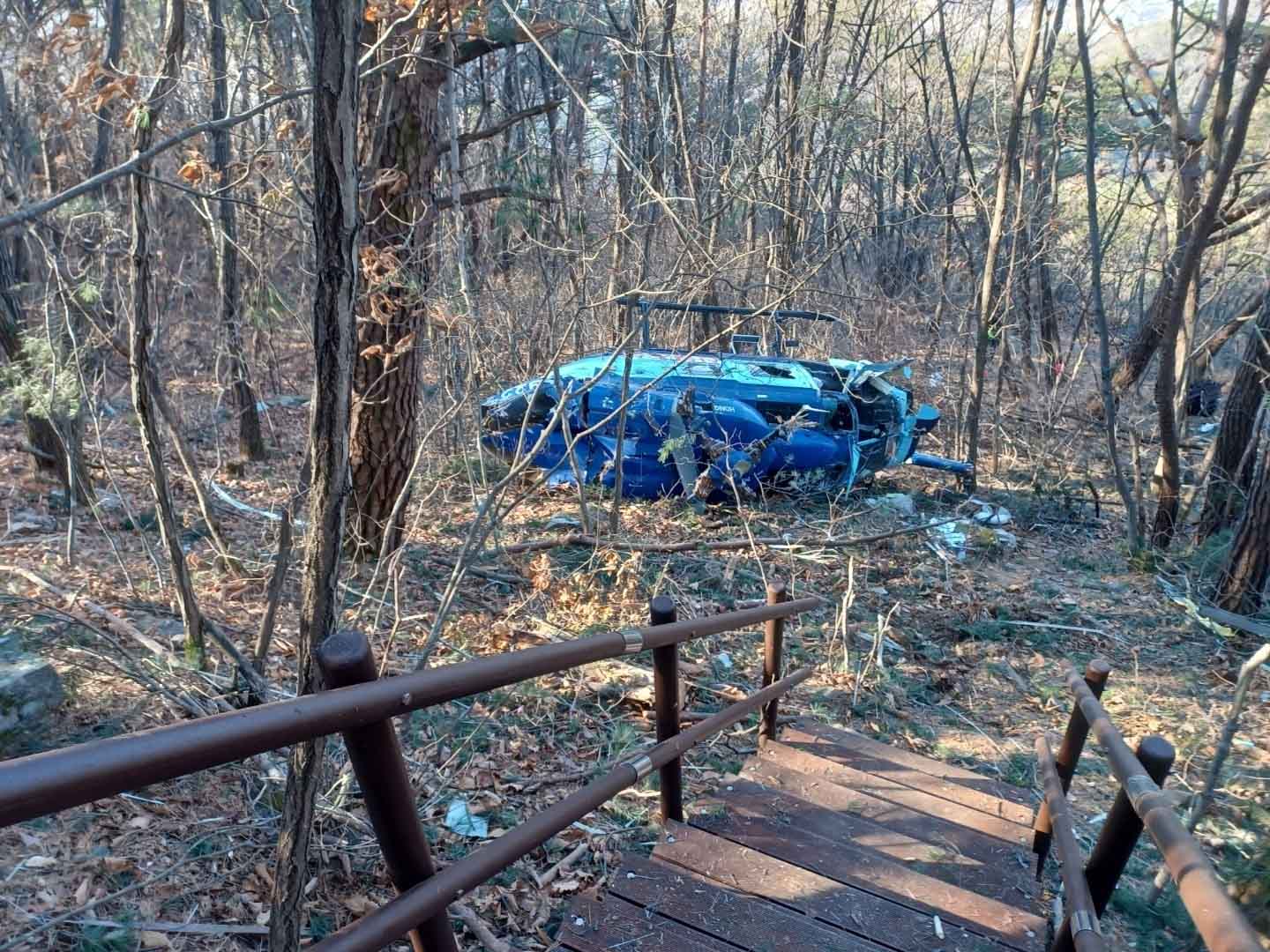 사진 제공 문경산림조합