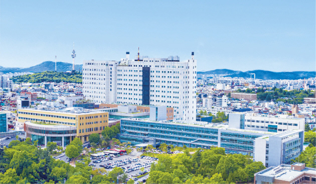 영남대병원 전경 (사진 제공 영남대학교병원)