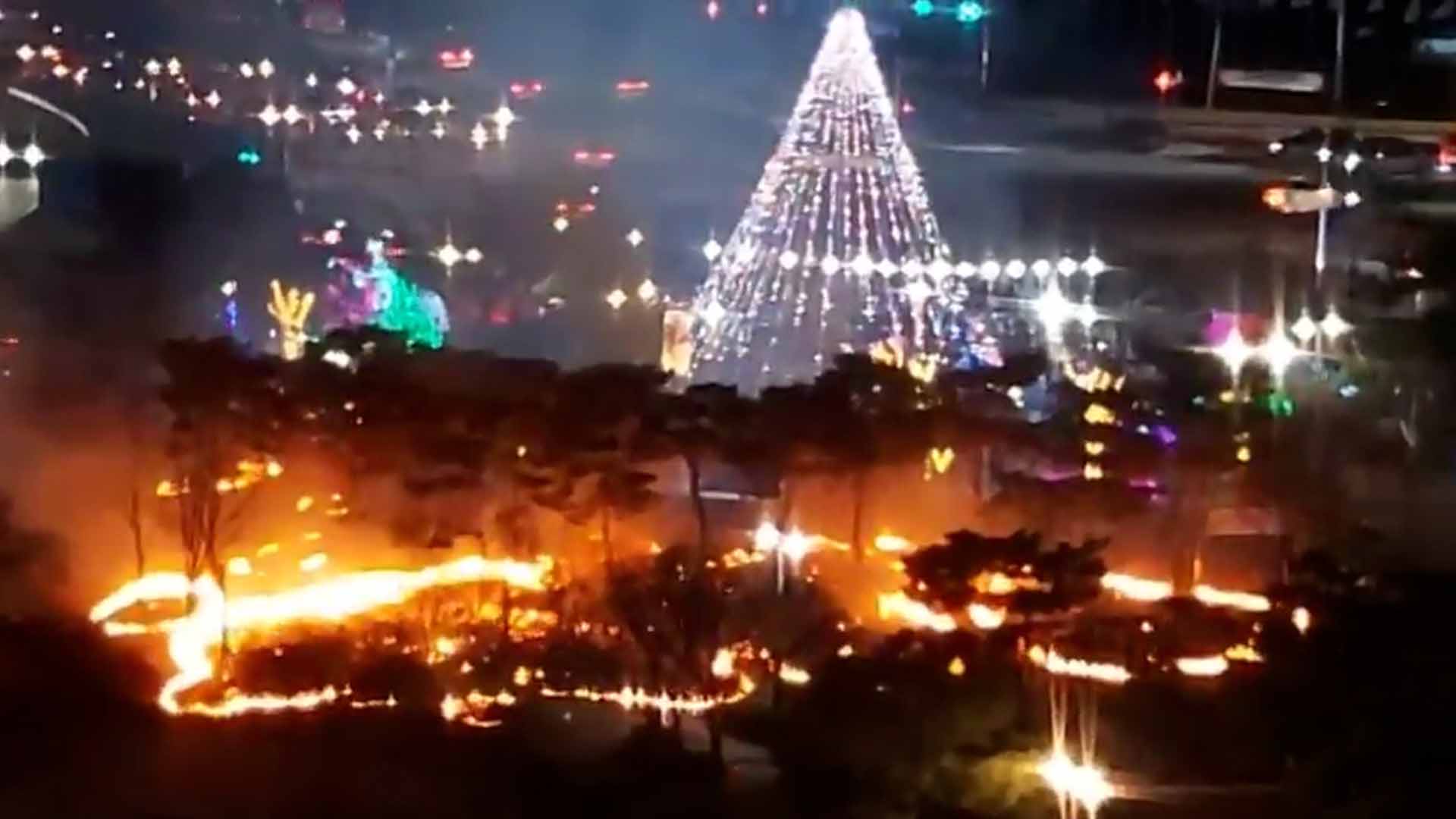 사진 제공 이승연