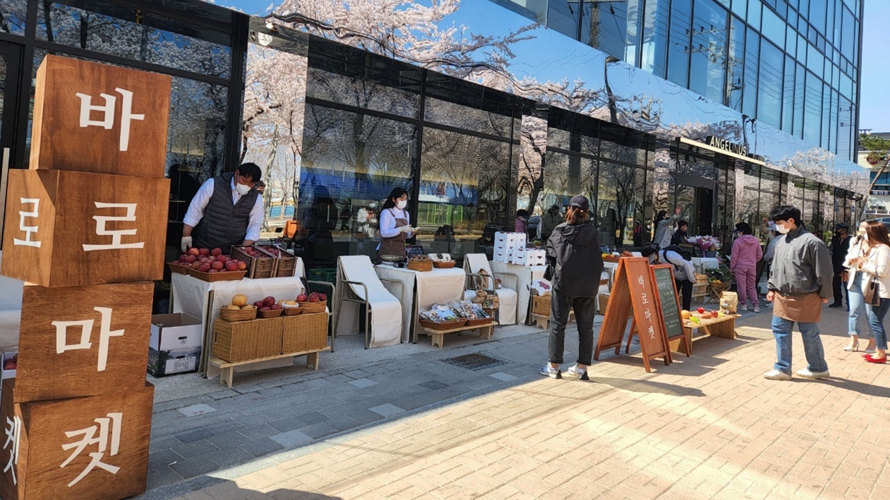 사진 제공 경상북도