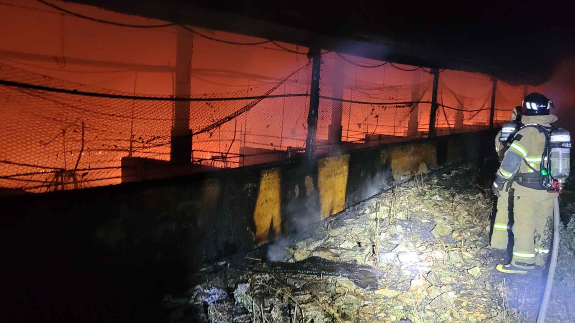 사진 제공 경북소방본부