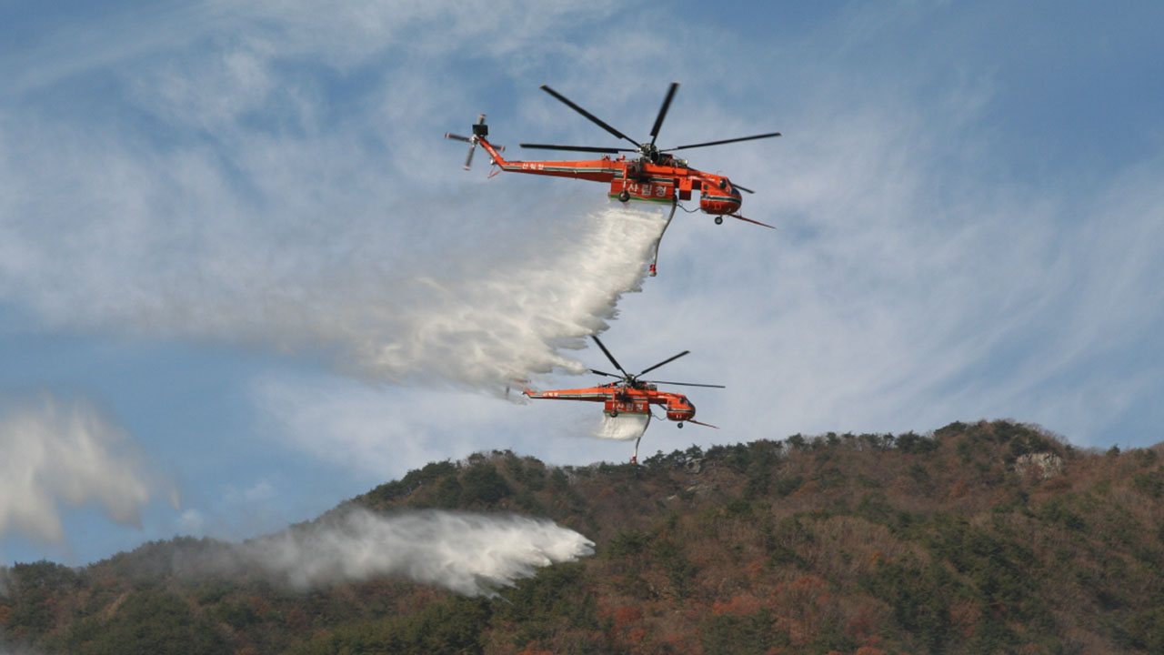 사진 제공 산림청