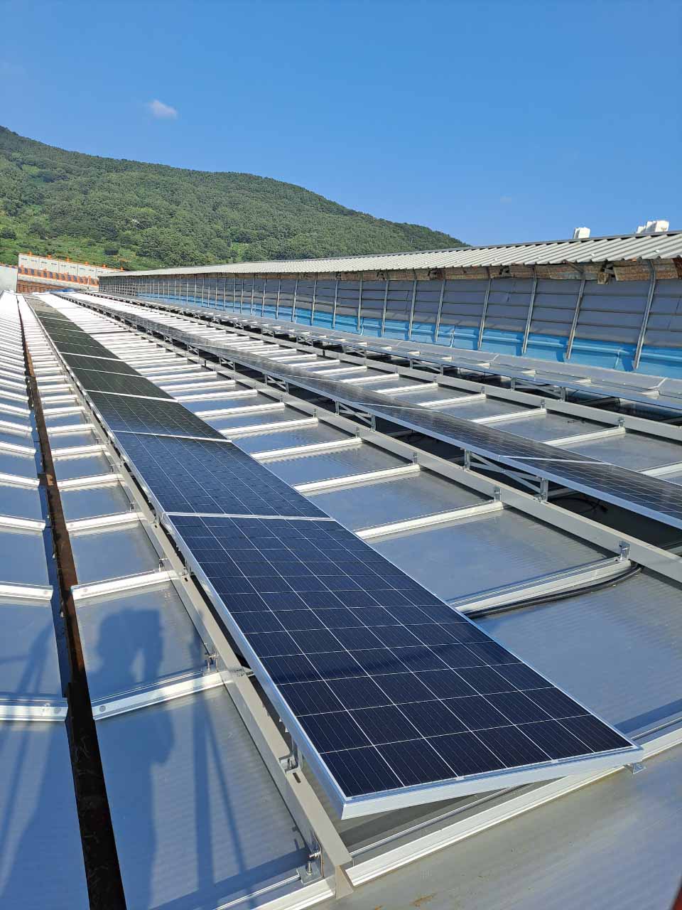 사진 제공 대구시