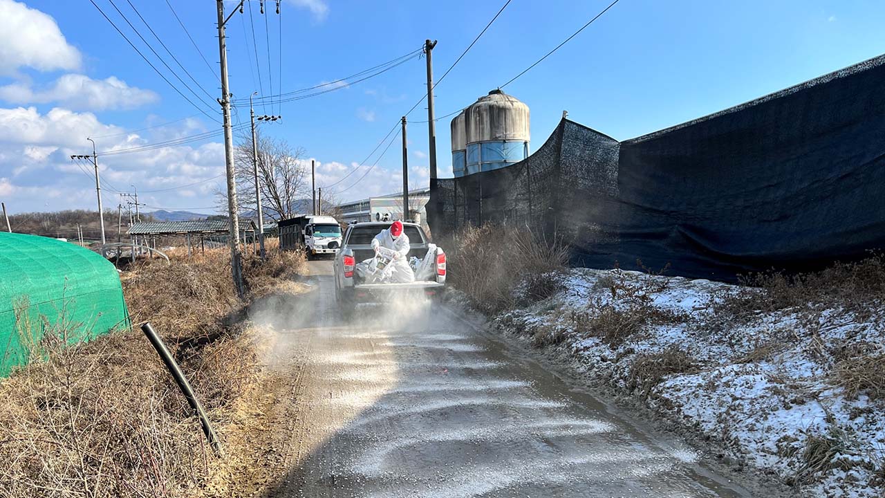 사진 제공 성주군