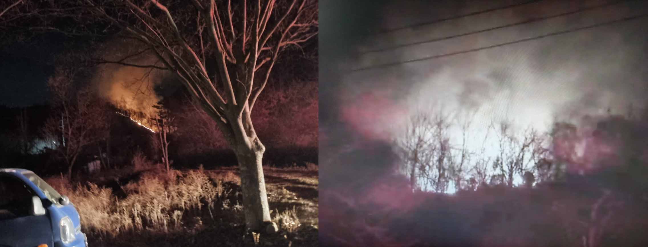 사진제공 산림청