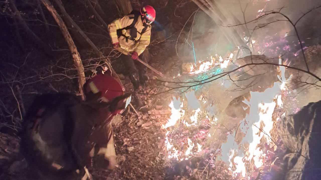 사진 제공 경상북도소방본부