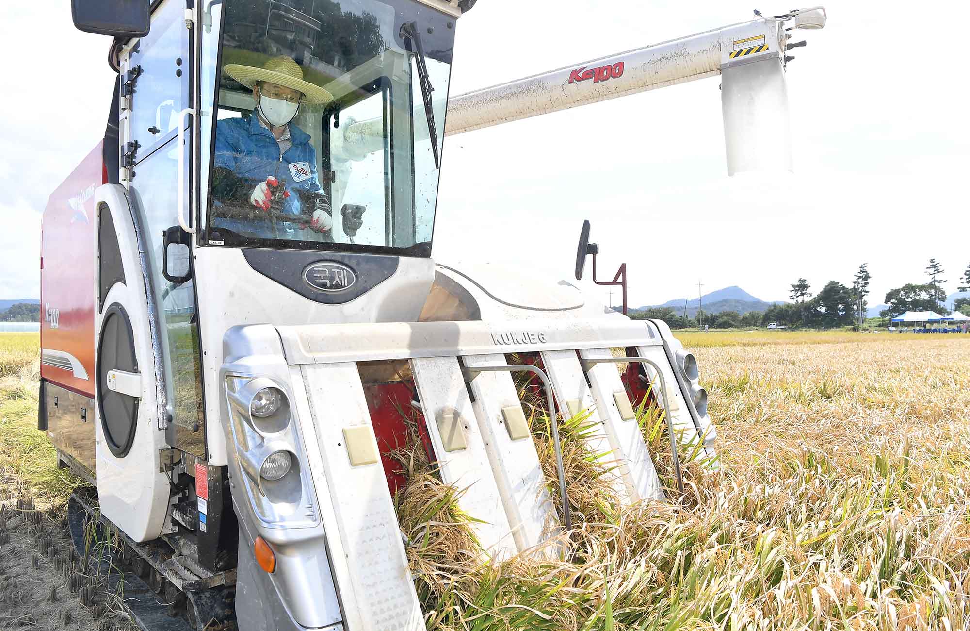 사진 제공 경상북도
