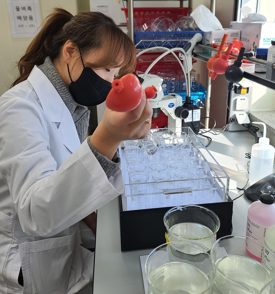 사진 제공 대구시