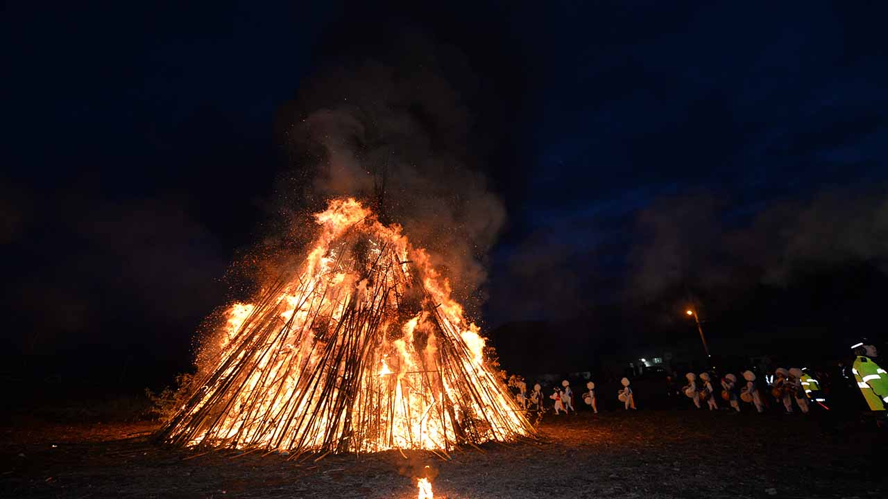 사진 제공 산림청