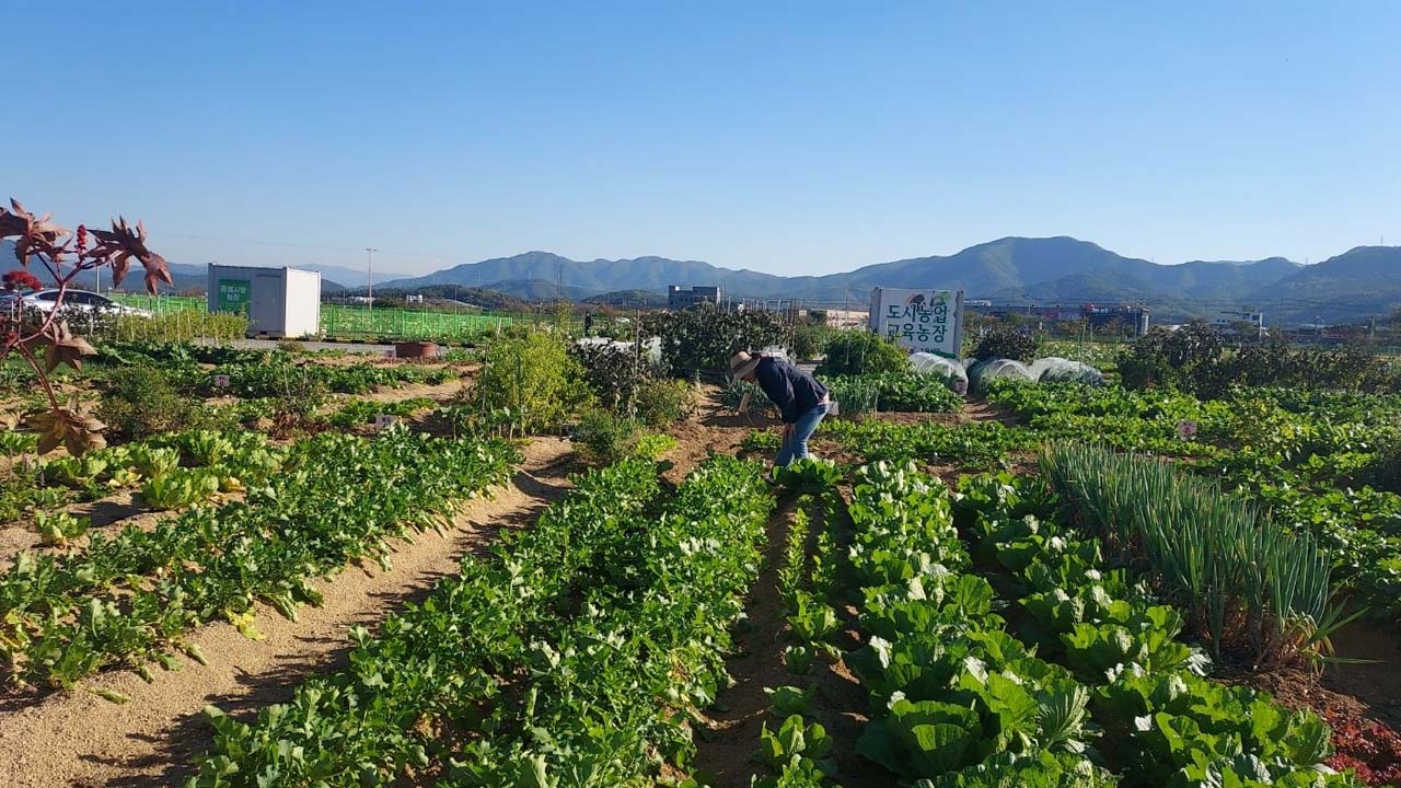 사진 제공 군위군