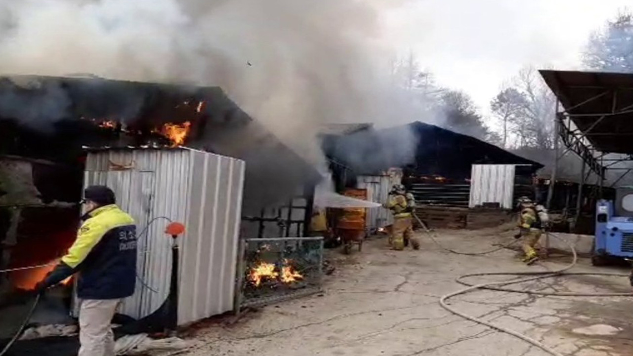사진 제공 경북소방본부